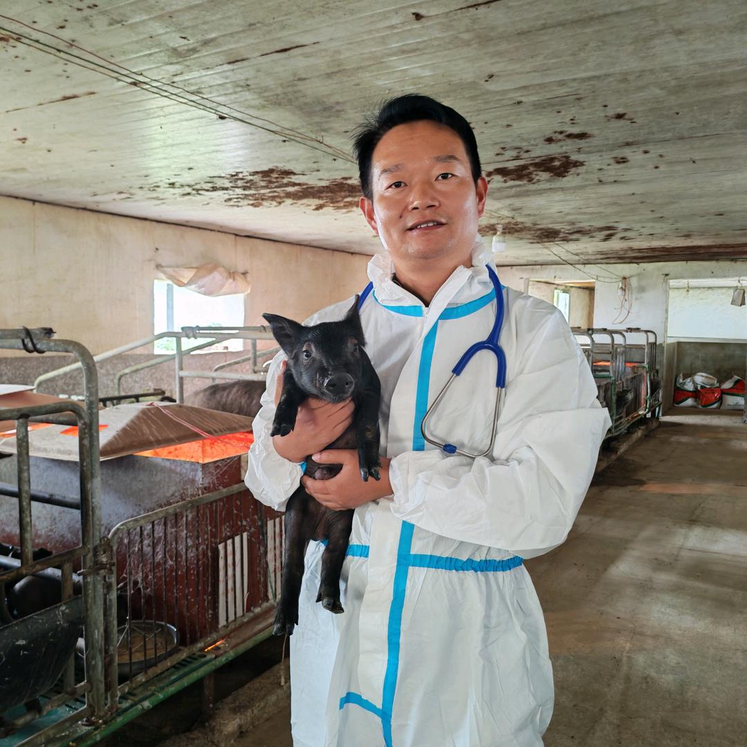 乡村小兽医