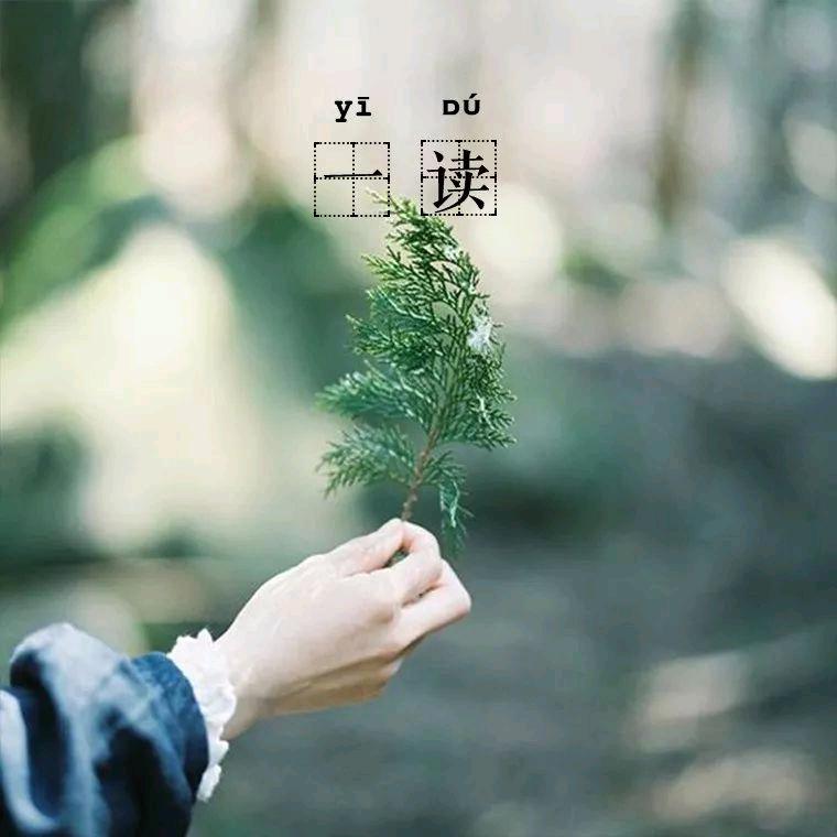 娟姐🌹生活小片段🍎