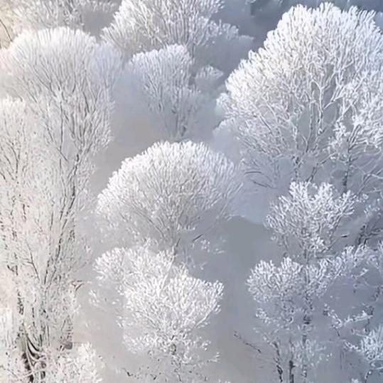 和♥颜♥悦♥色