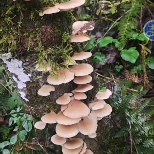 世间没有后悔药