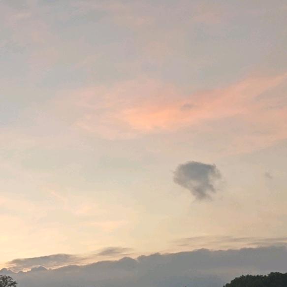 青青　 ╲   ╰          ༽