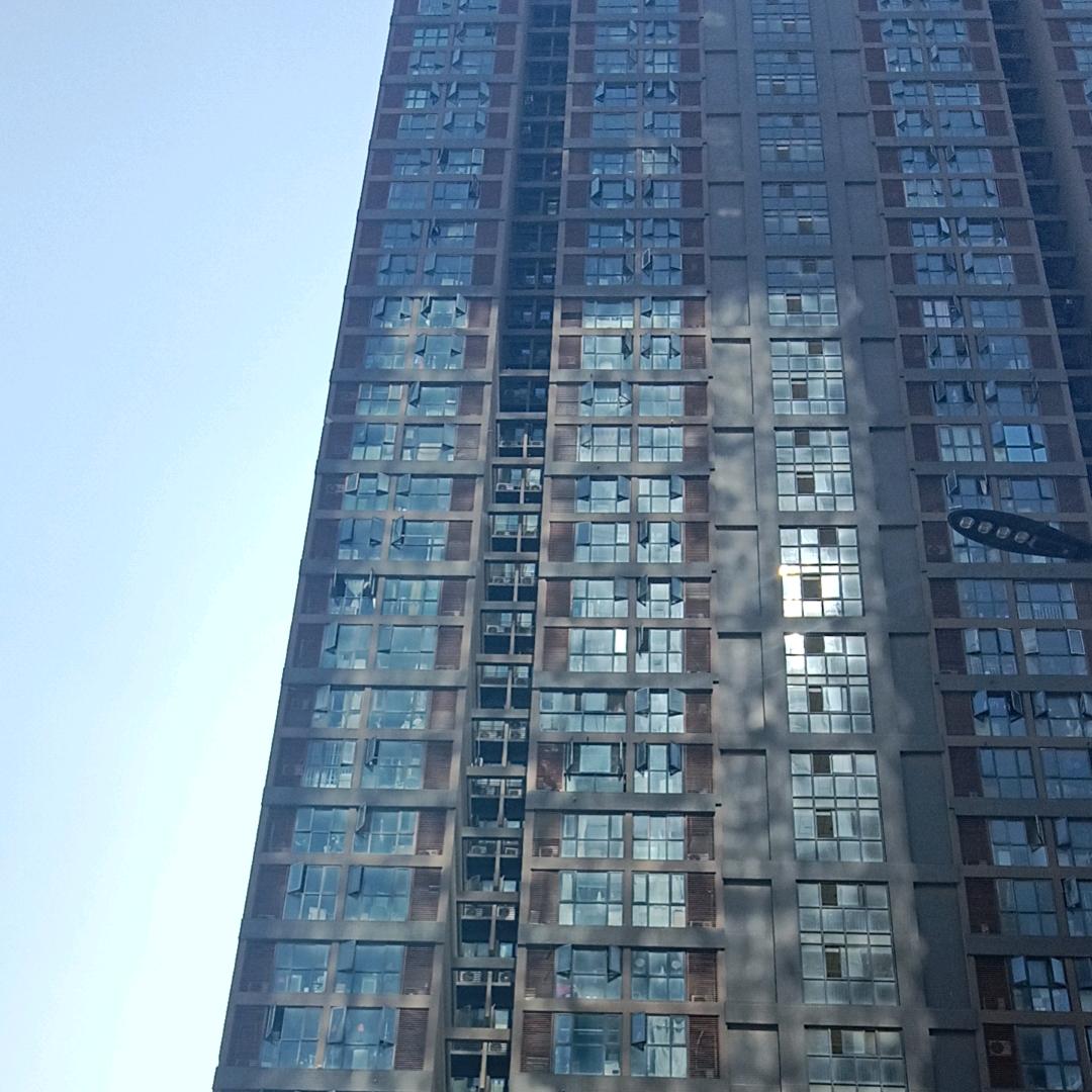 叫什么才好