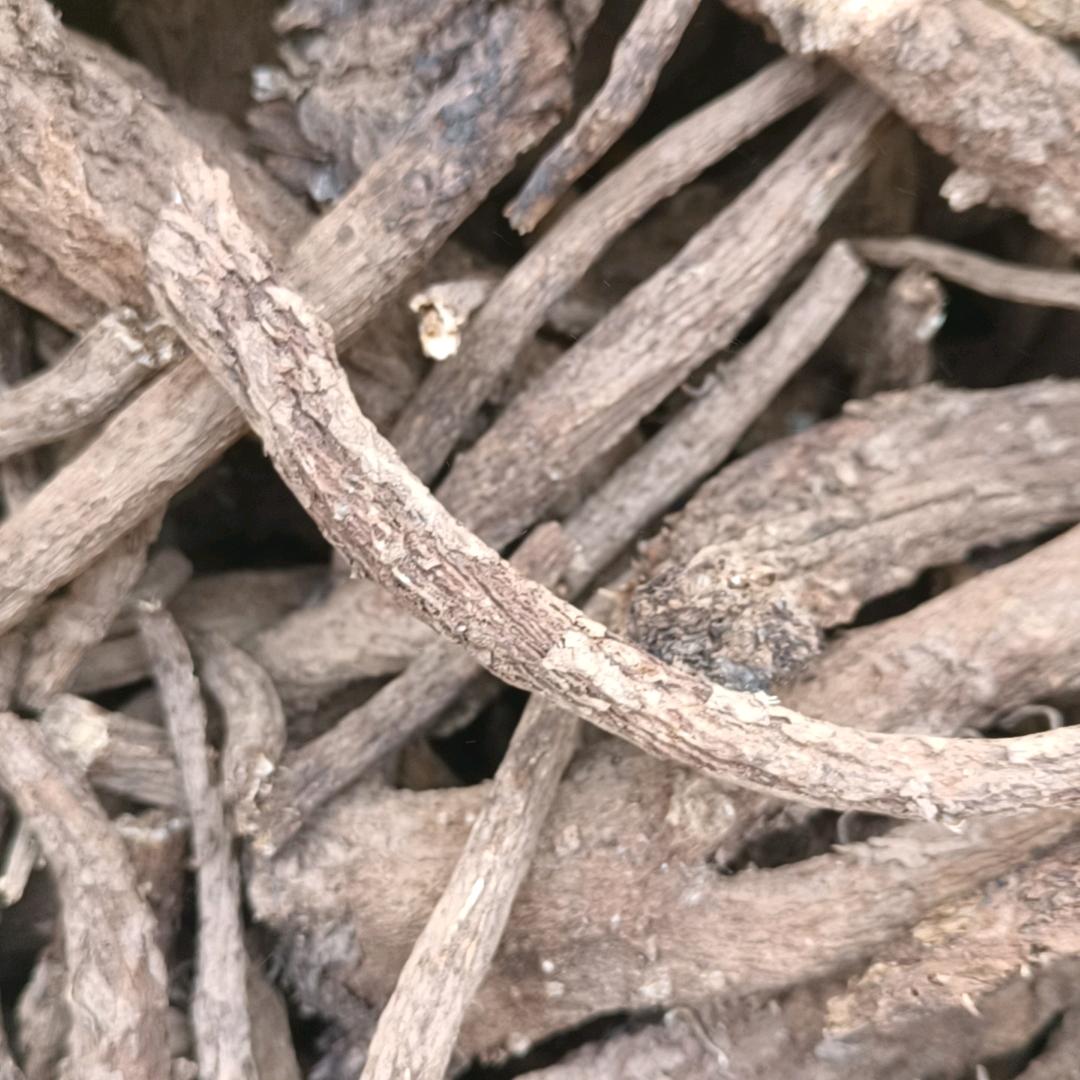 小杨中药材