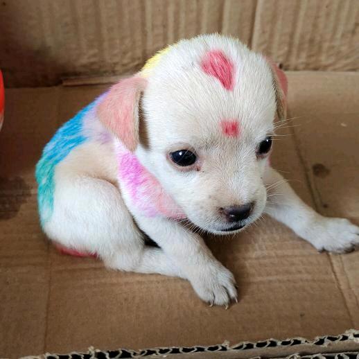 随风飘荡（拒绝私聊)