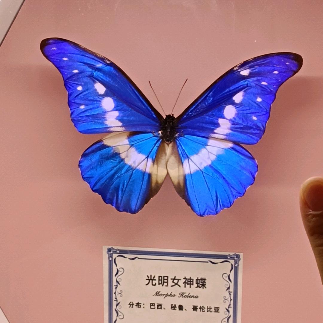 咿呀咿呀哟