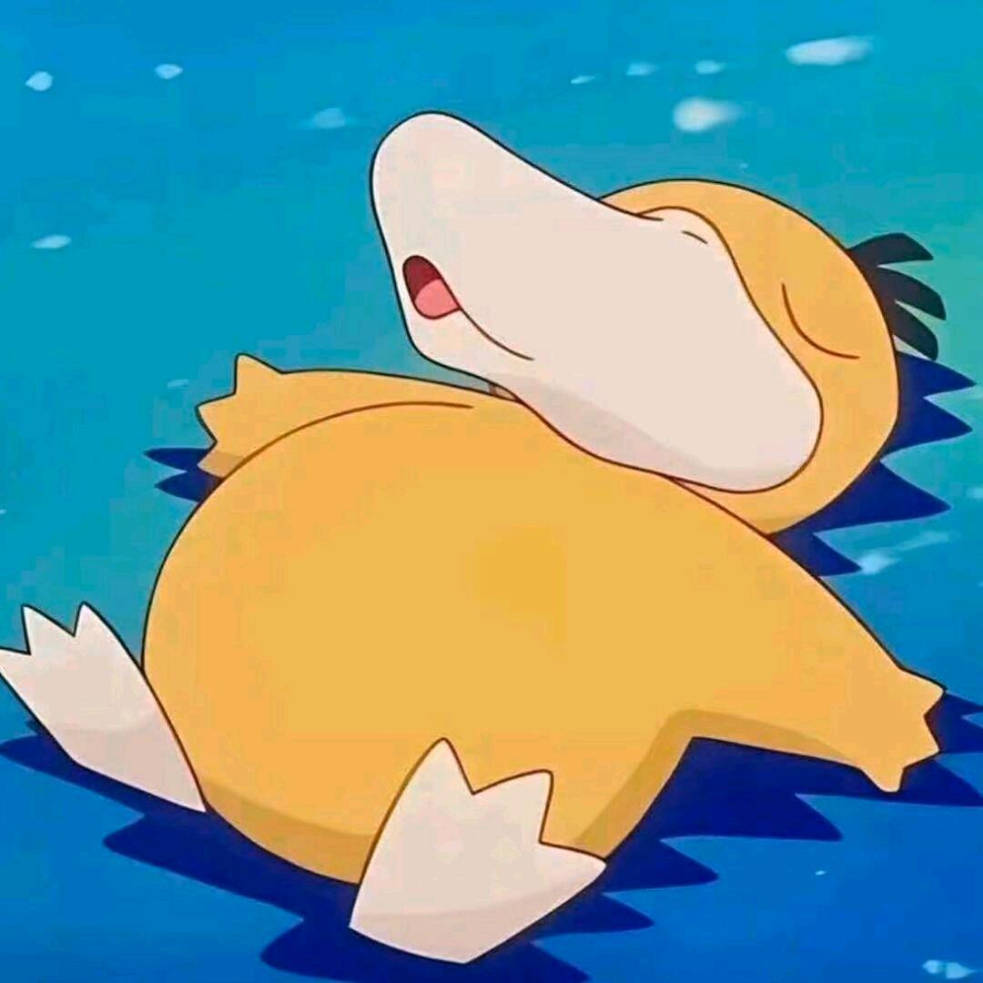 橘