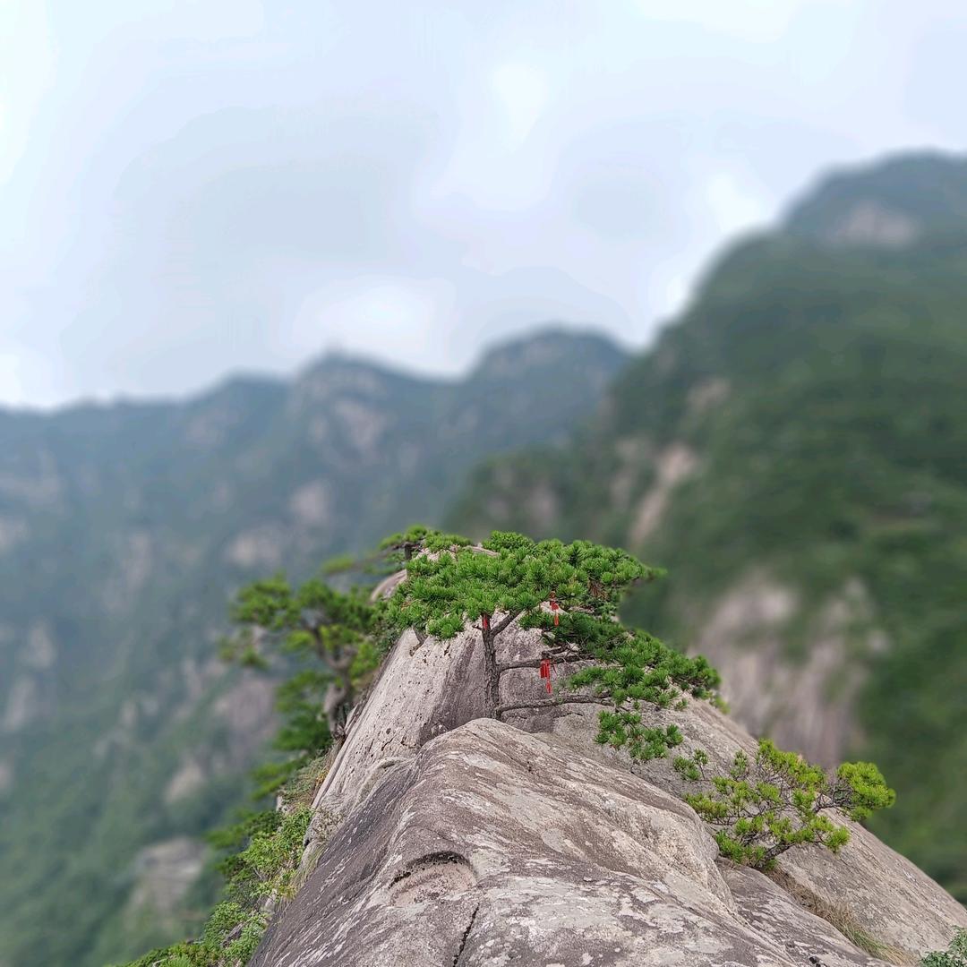 舍⇔得