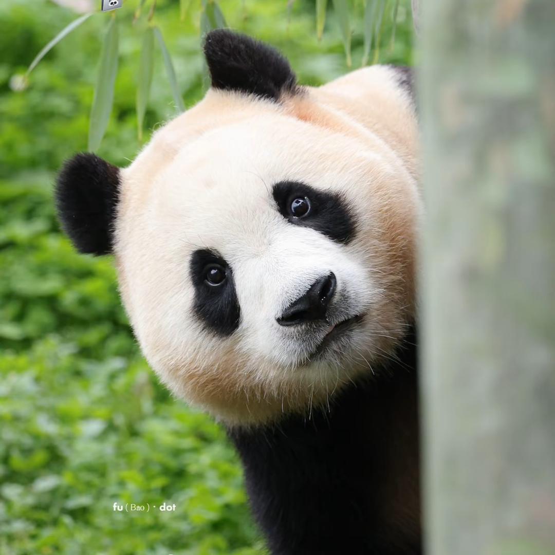 小雨不下雨🌱
