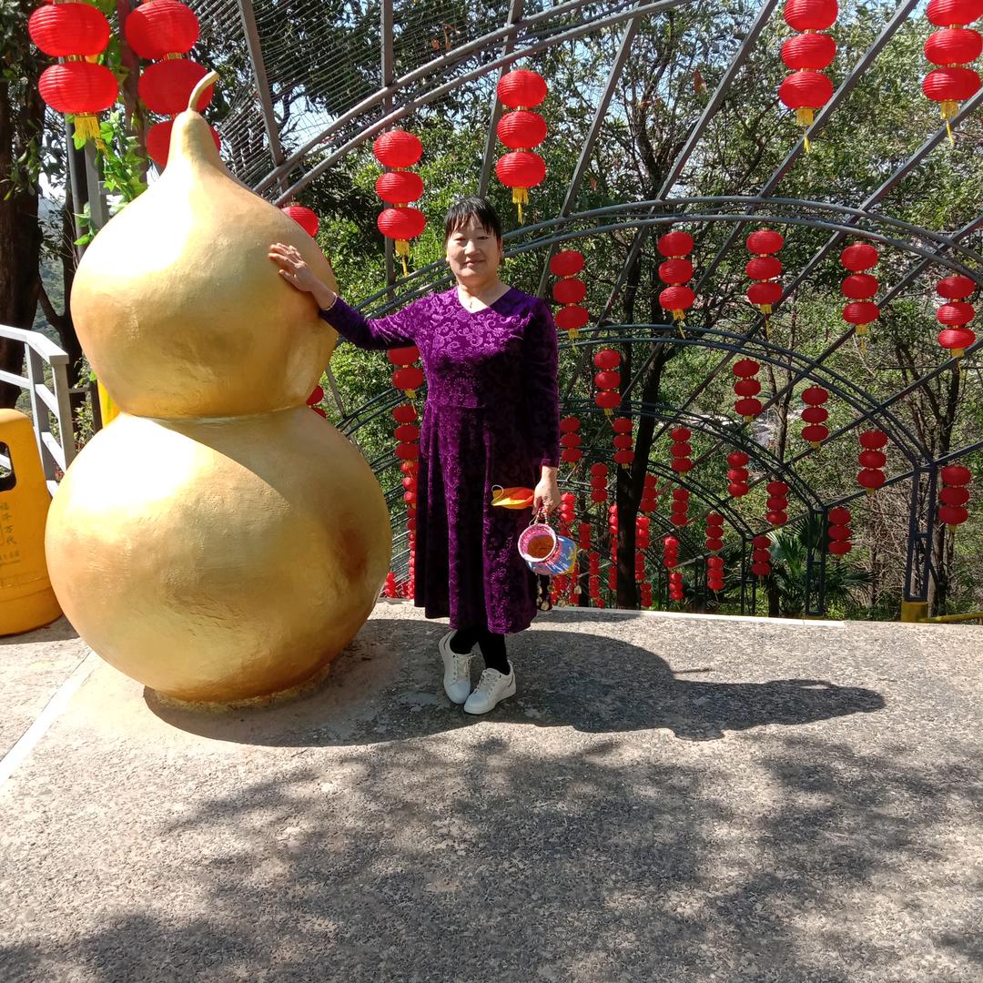 兰花草