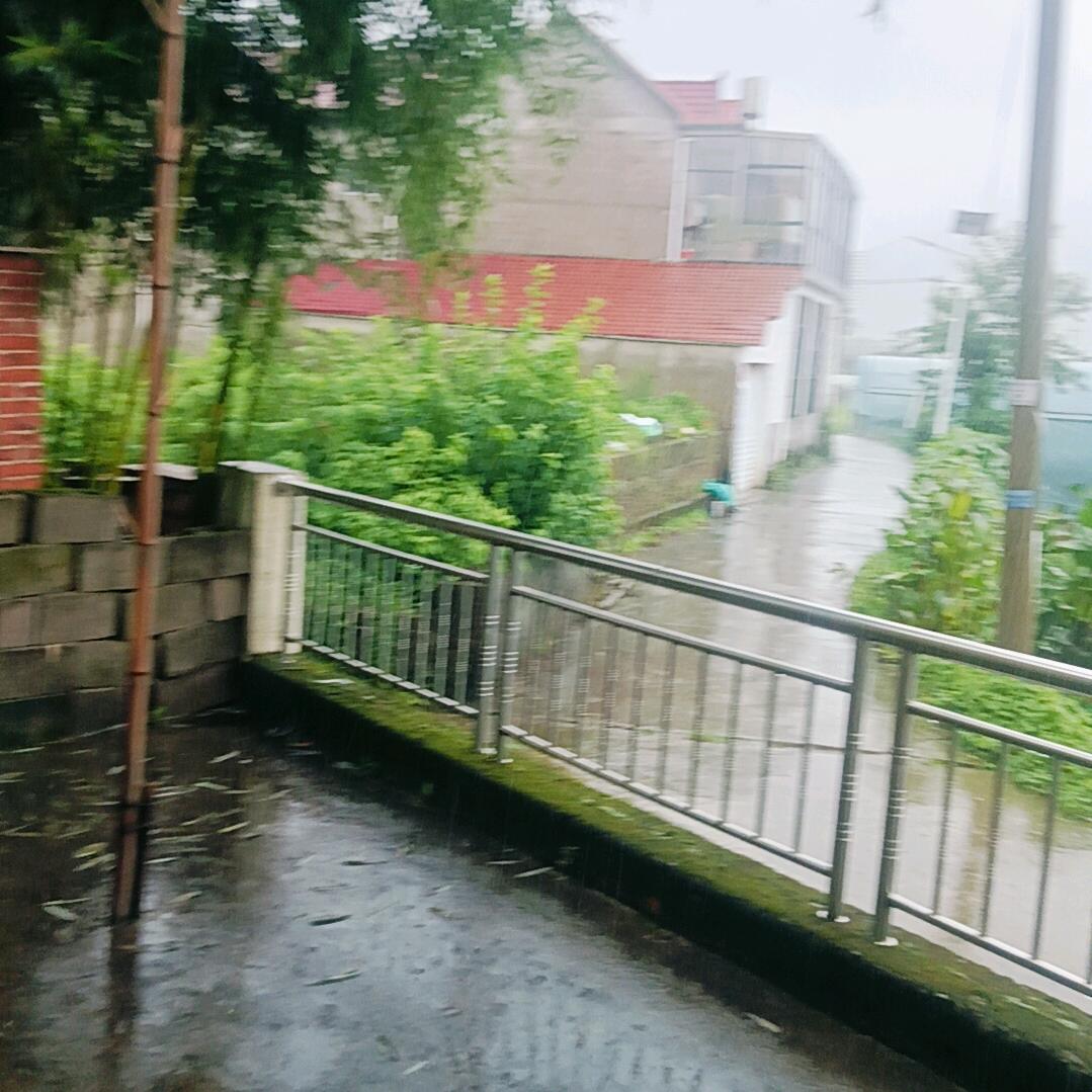 老蒋