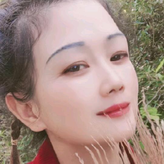 海燕飞翔