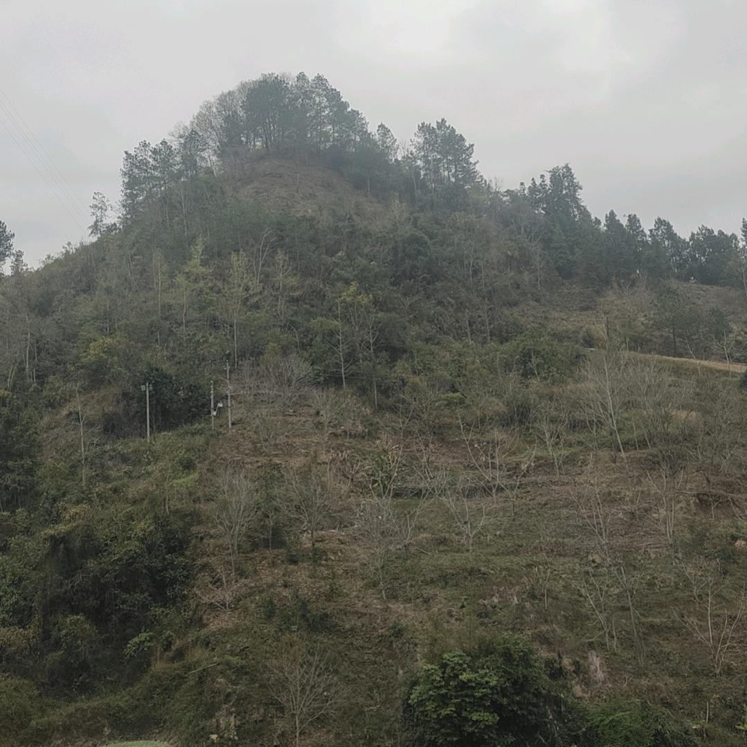 六月寒