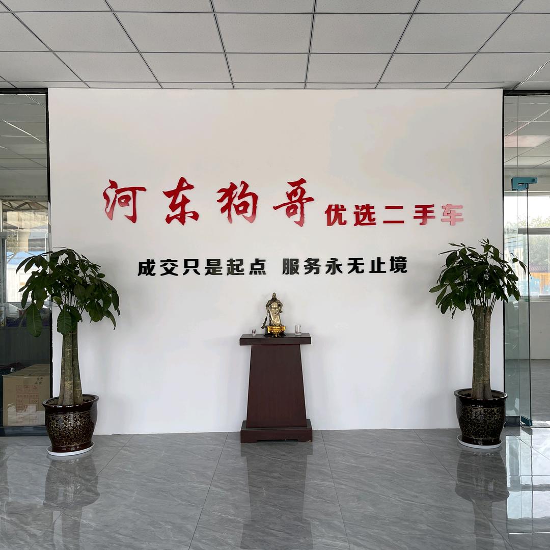 河东狗哥优选二手车