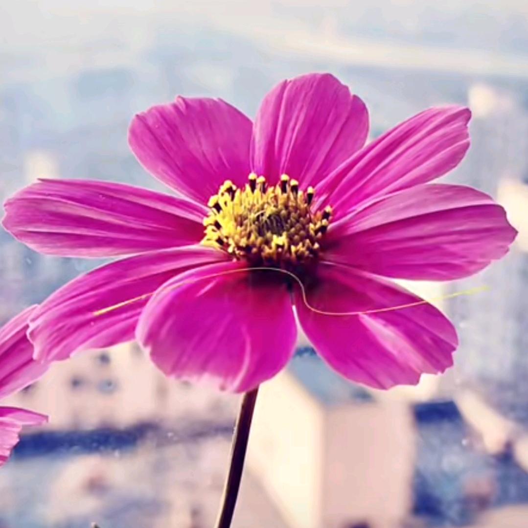 @Lucky💖: ᭄小🍒幸᭄运💞࿐