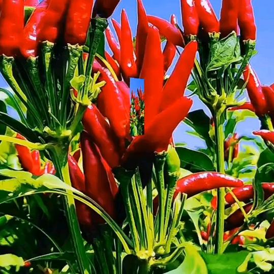 用户有你就够了4827146281623