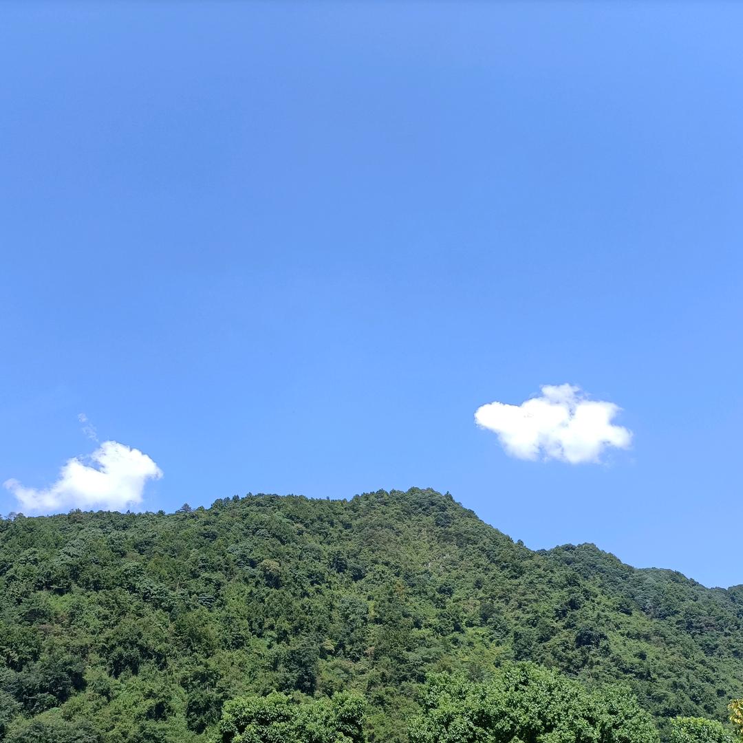 连升三级