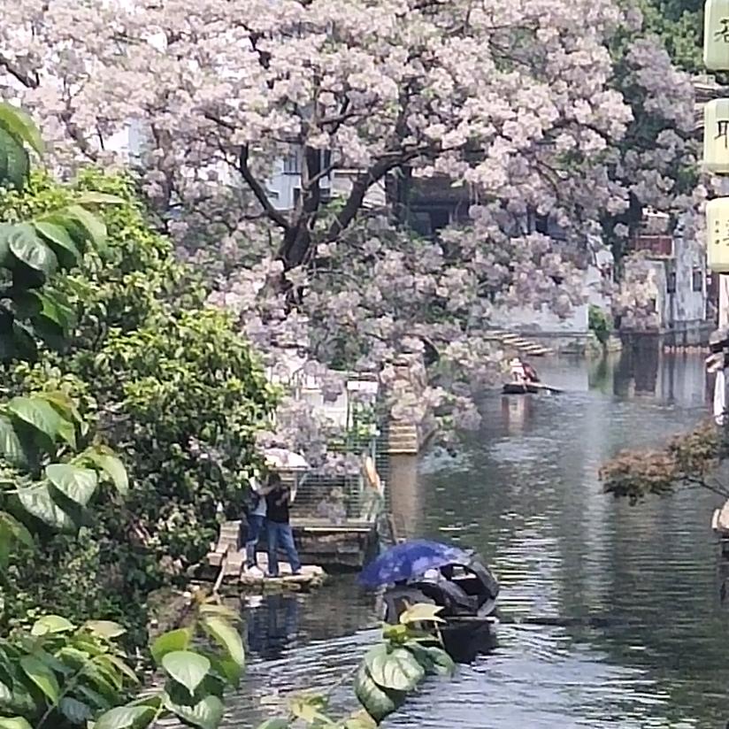 雁回
