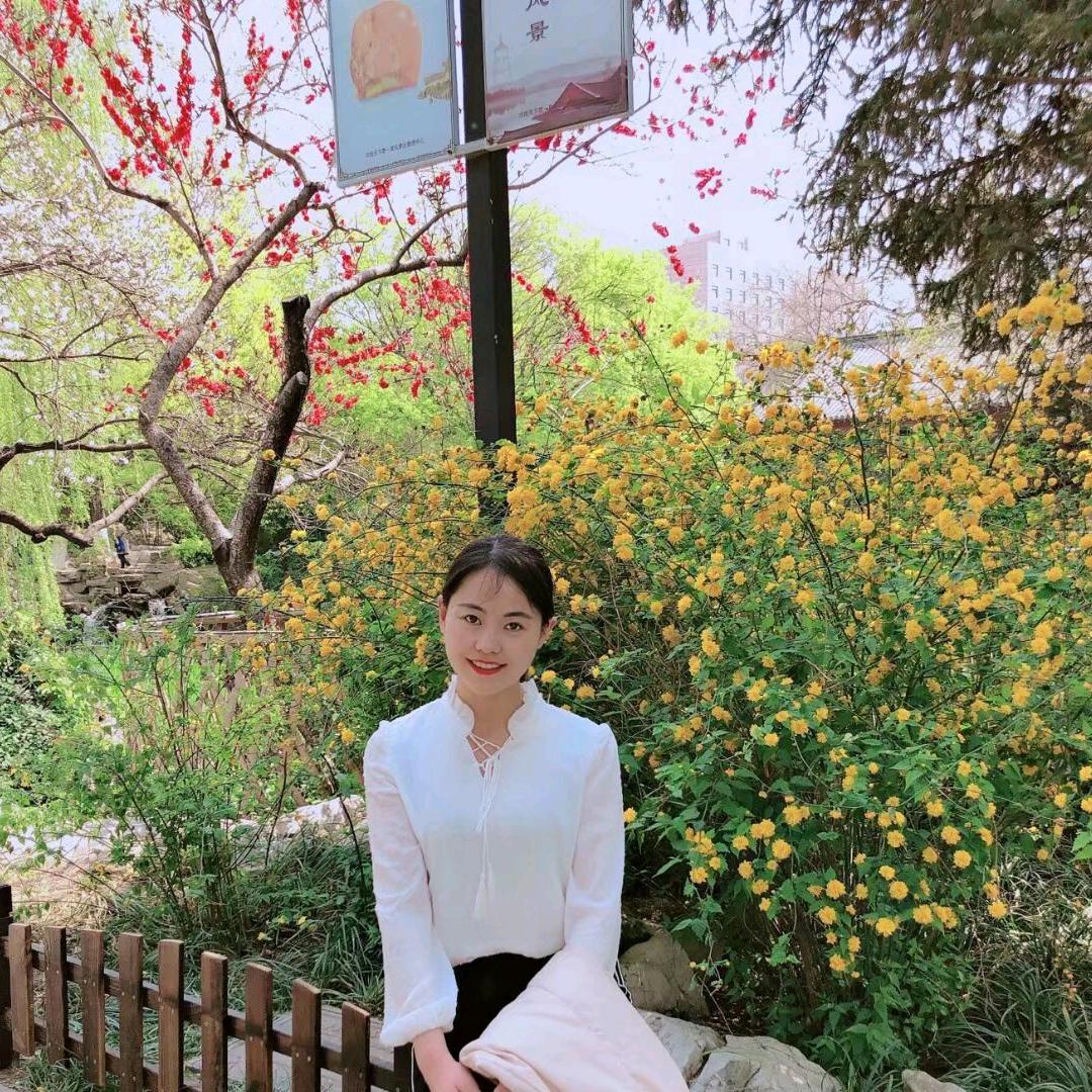 小鸽子