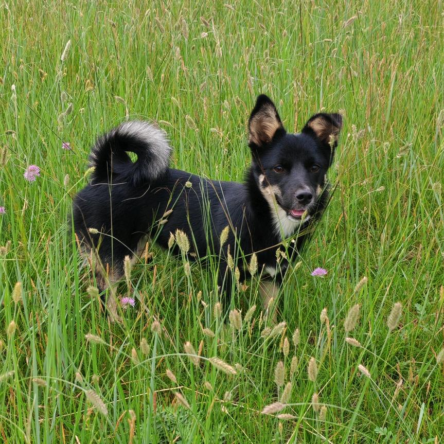এ杯中烈酒໌ᮨ(^_^)敬余生(⑉°з°