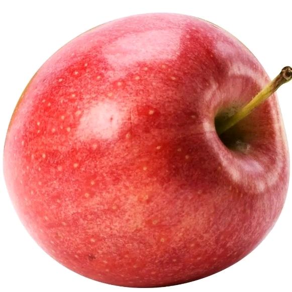 冷温柔🍎