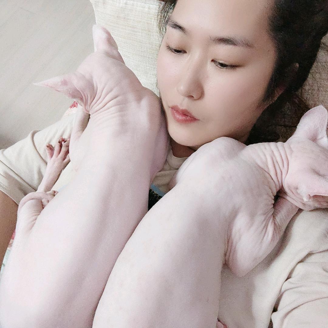 懒蛋🥚与她的喵🐱