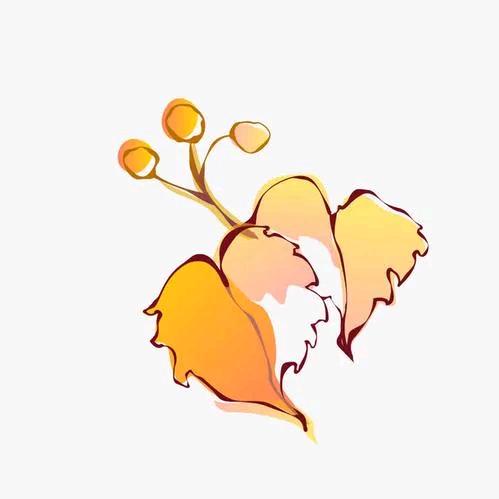 枯叶知秋
