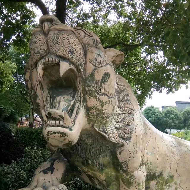 s漂泊一生
