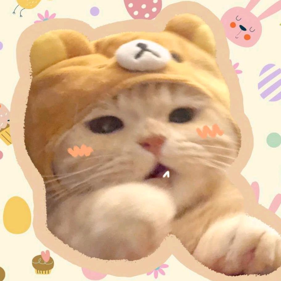 小哈推文