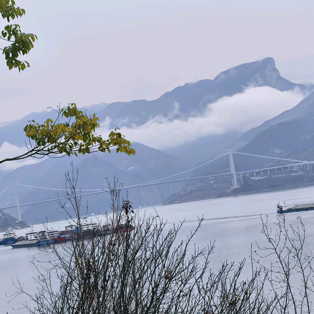 风清杨