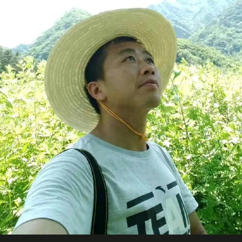高山上的采蜜哥