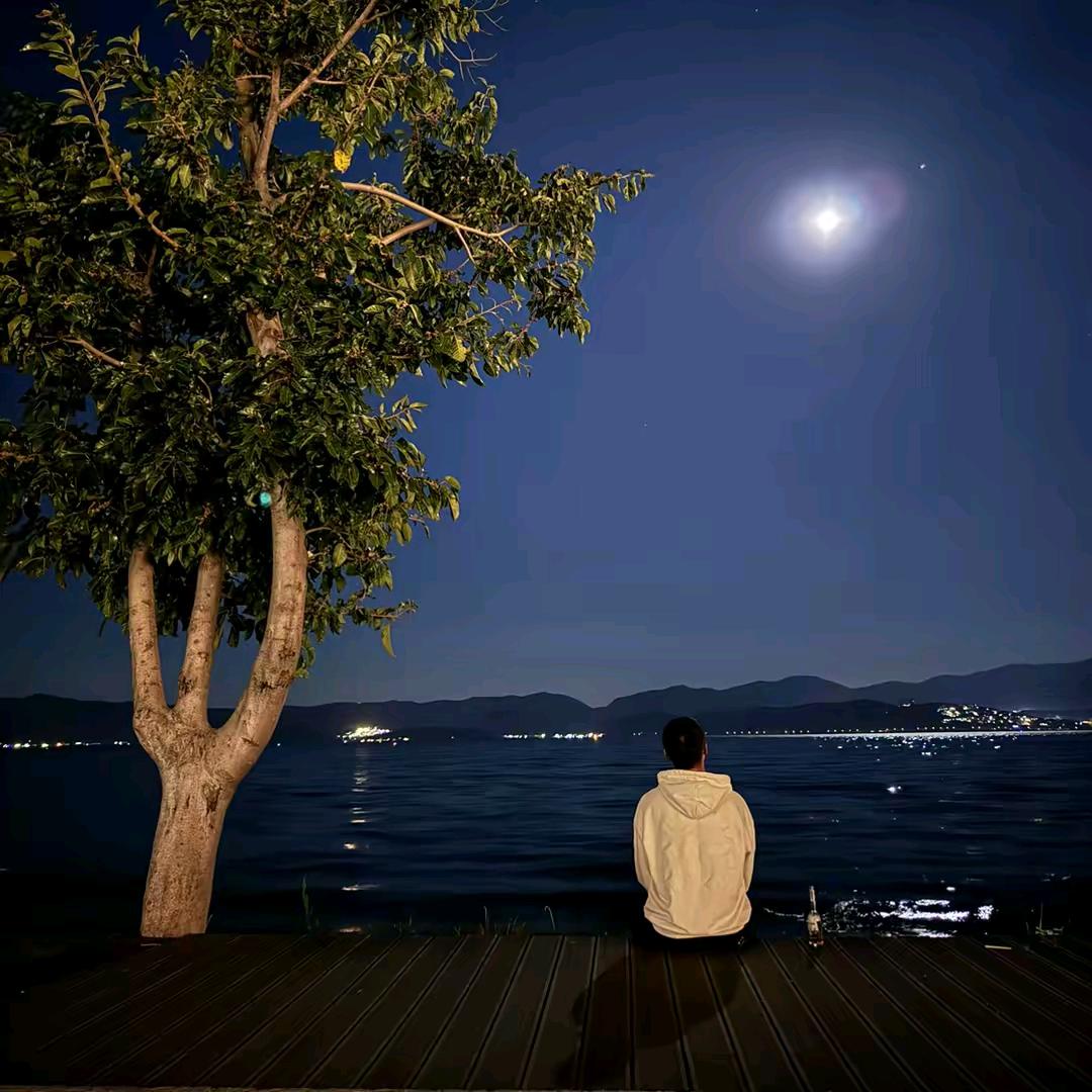 雁渡寒潭