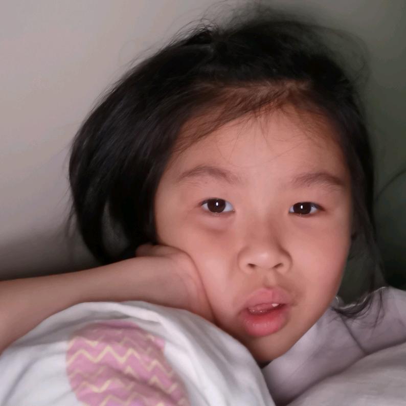 叶儿龙