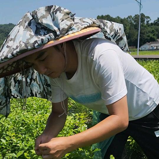 农王（王纯杰）