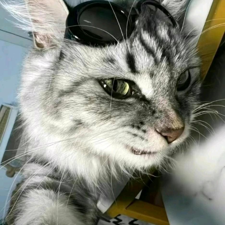 起风就回家～～