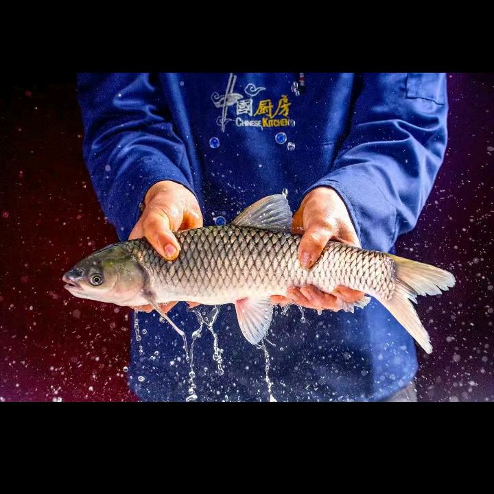 二元烧烤（红土地店）