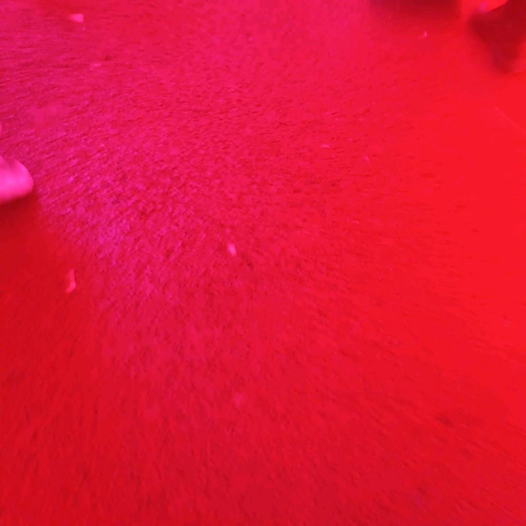 梦、-