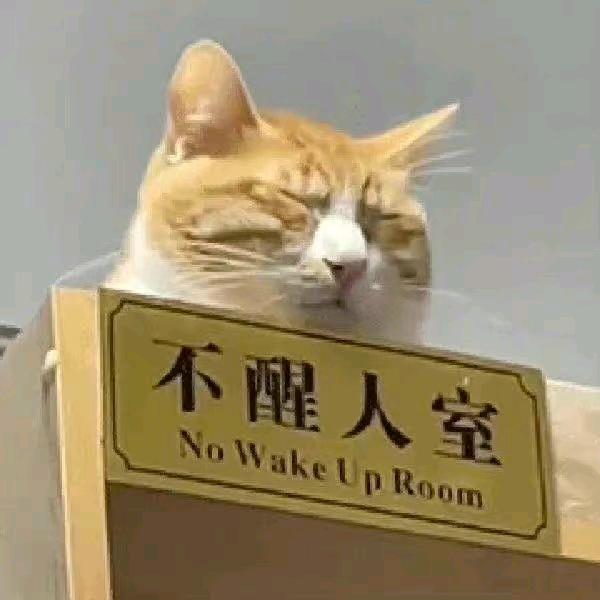 👾呆杏