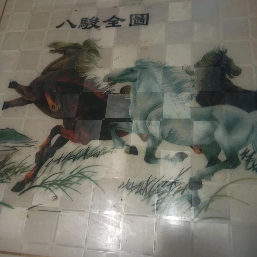 夏曰阳光