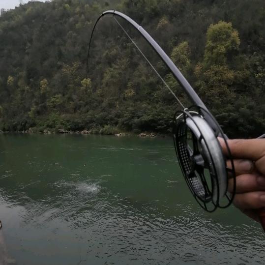 溪流野钓  爱炸线🎣