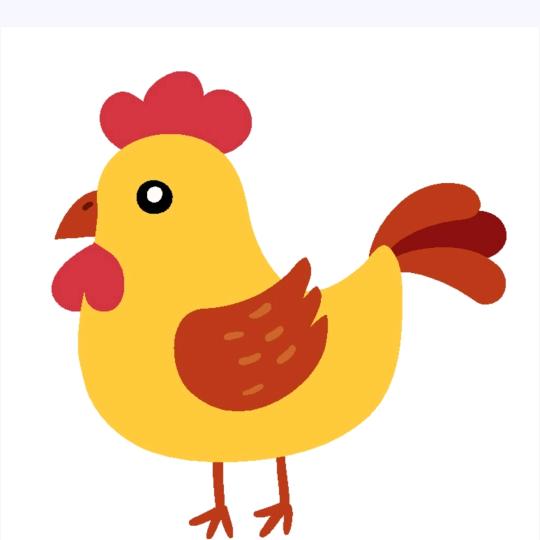 鸡