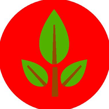 光合作用--植物