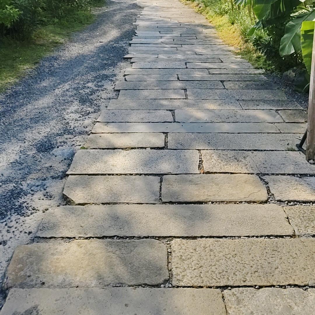 林林好物分享
