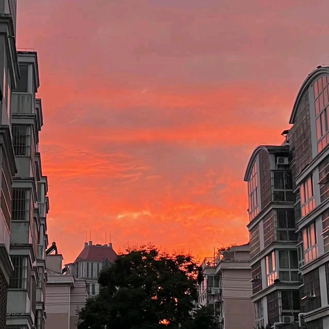 羞花🌸