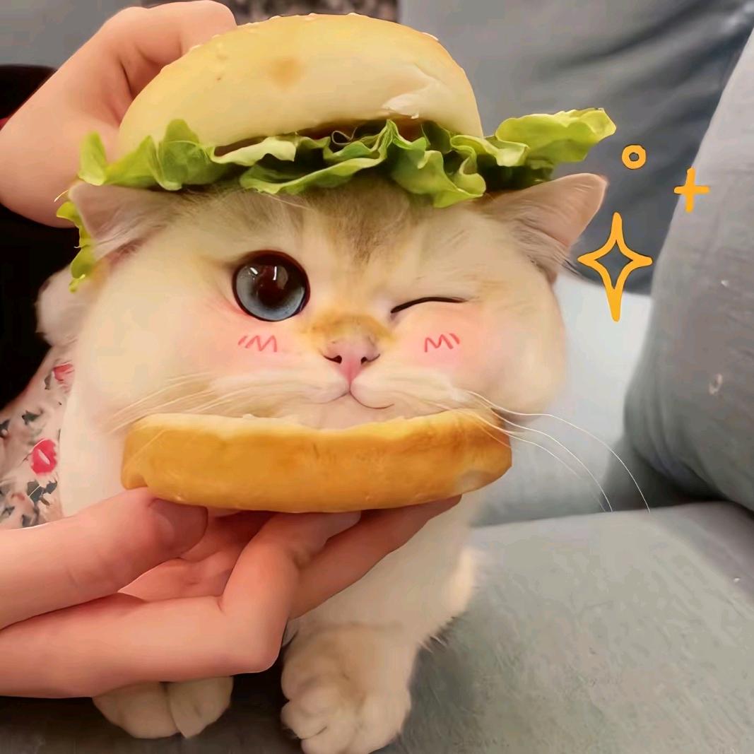 小甜饼