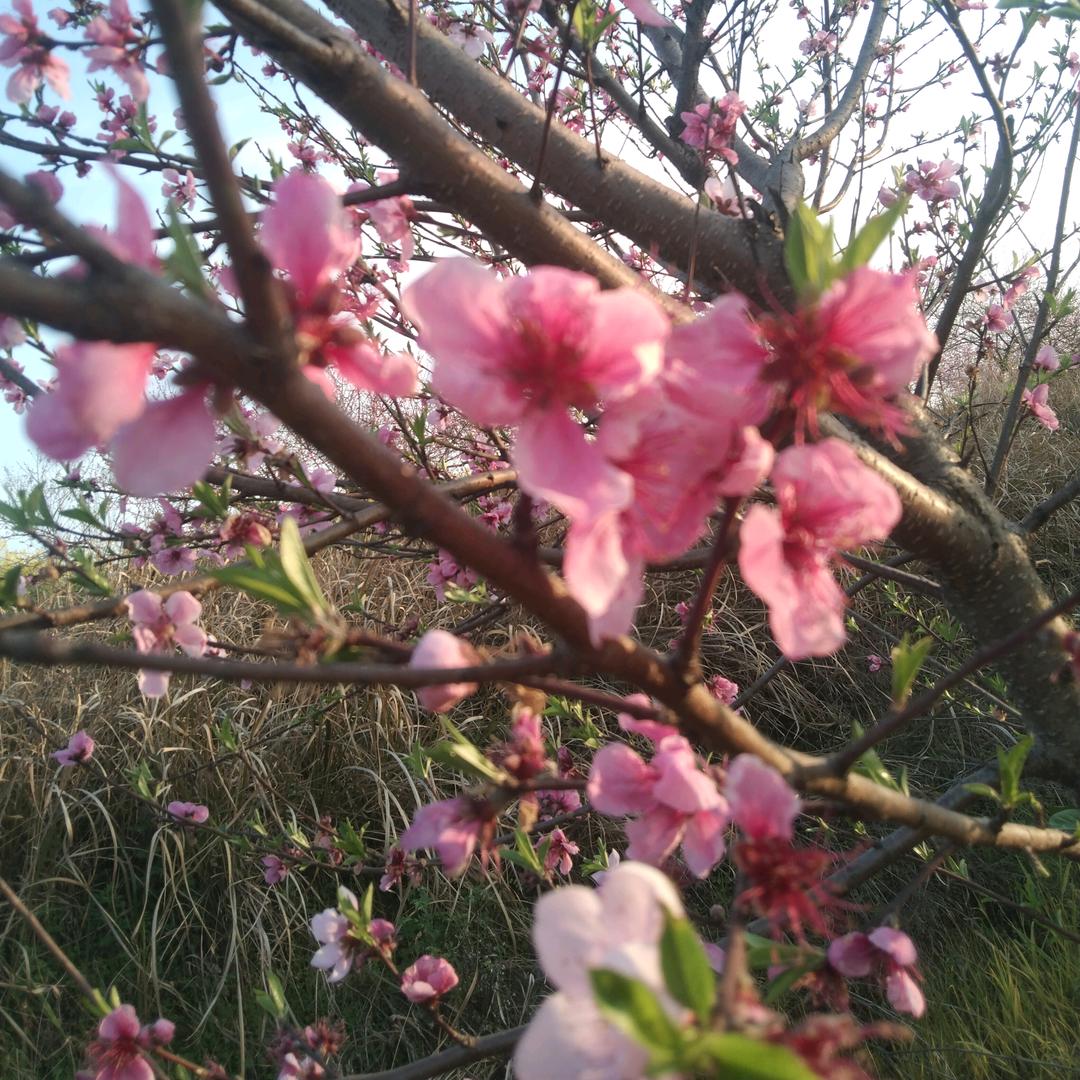 向@群