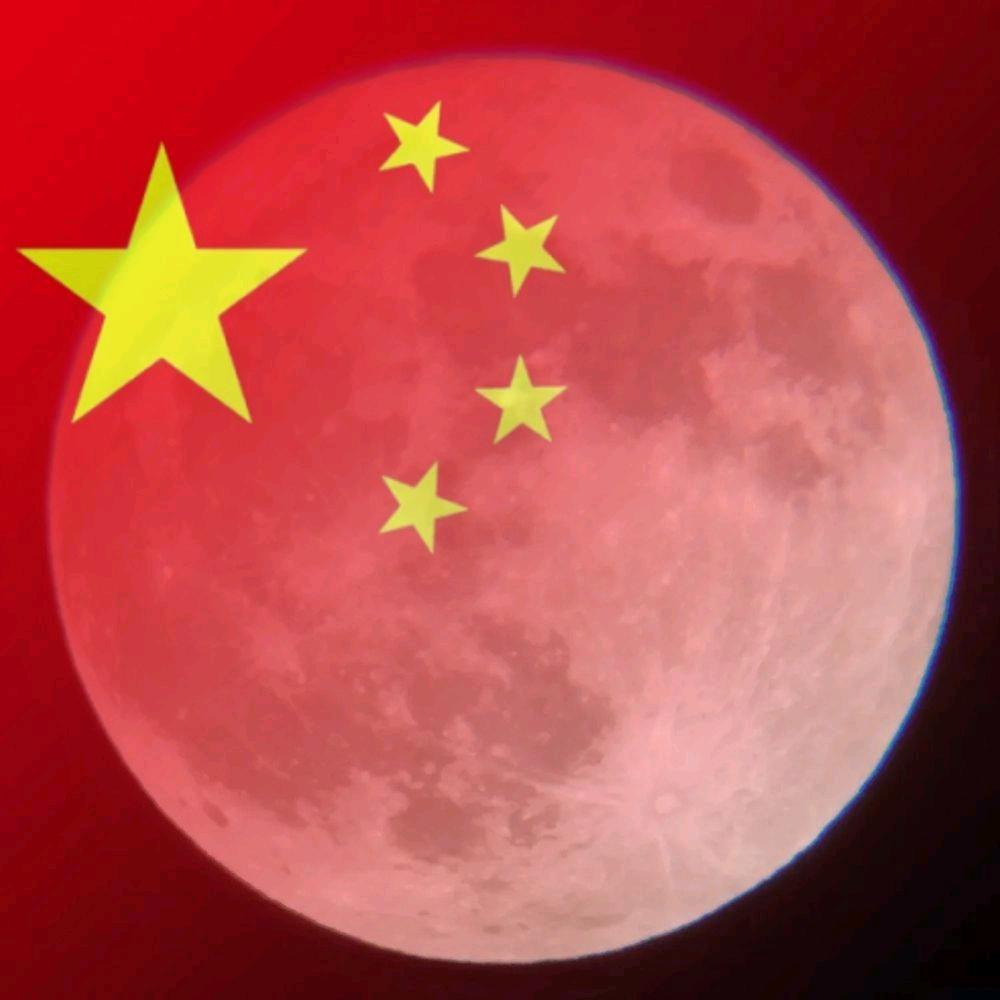皮小黑