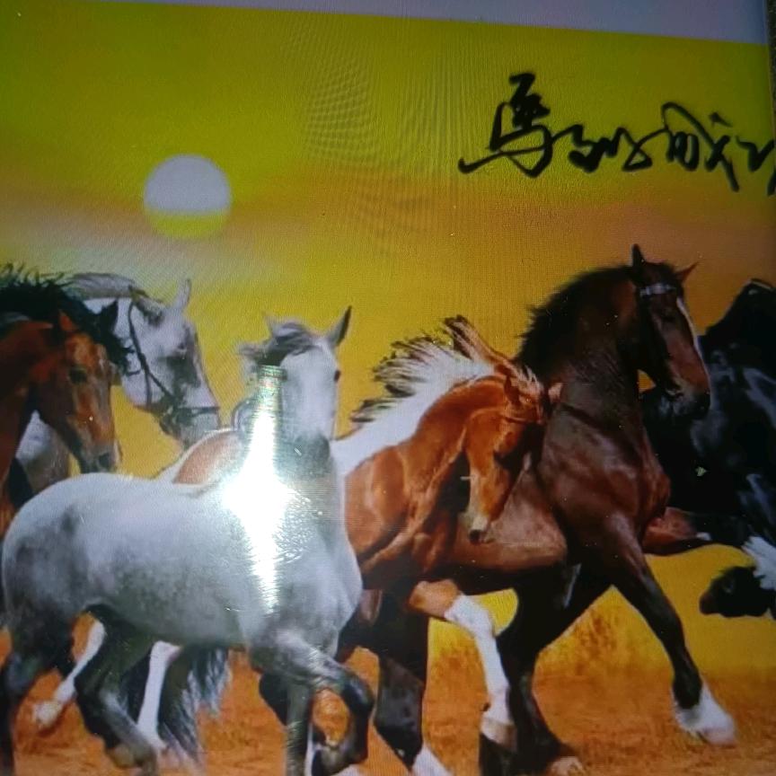 马到成功