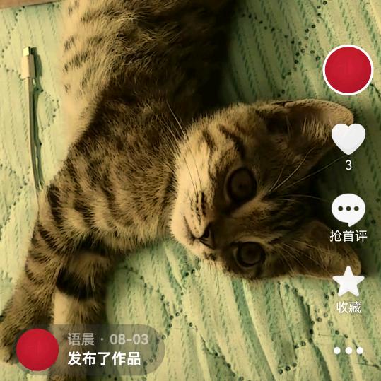 绿茵