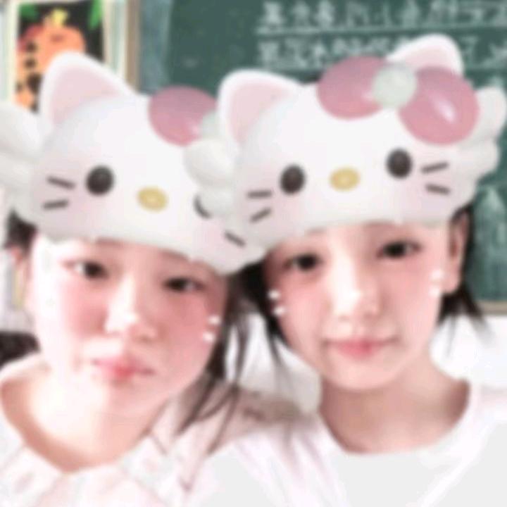 石家大小姐