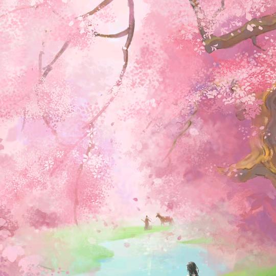 云南小陈